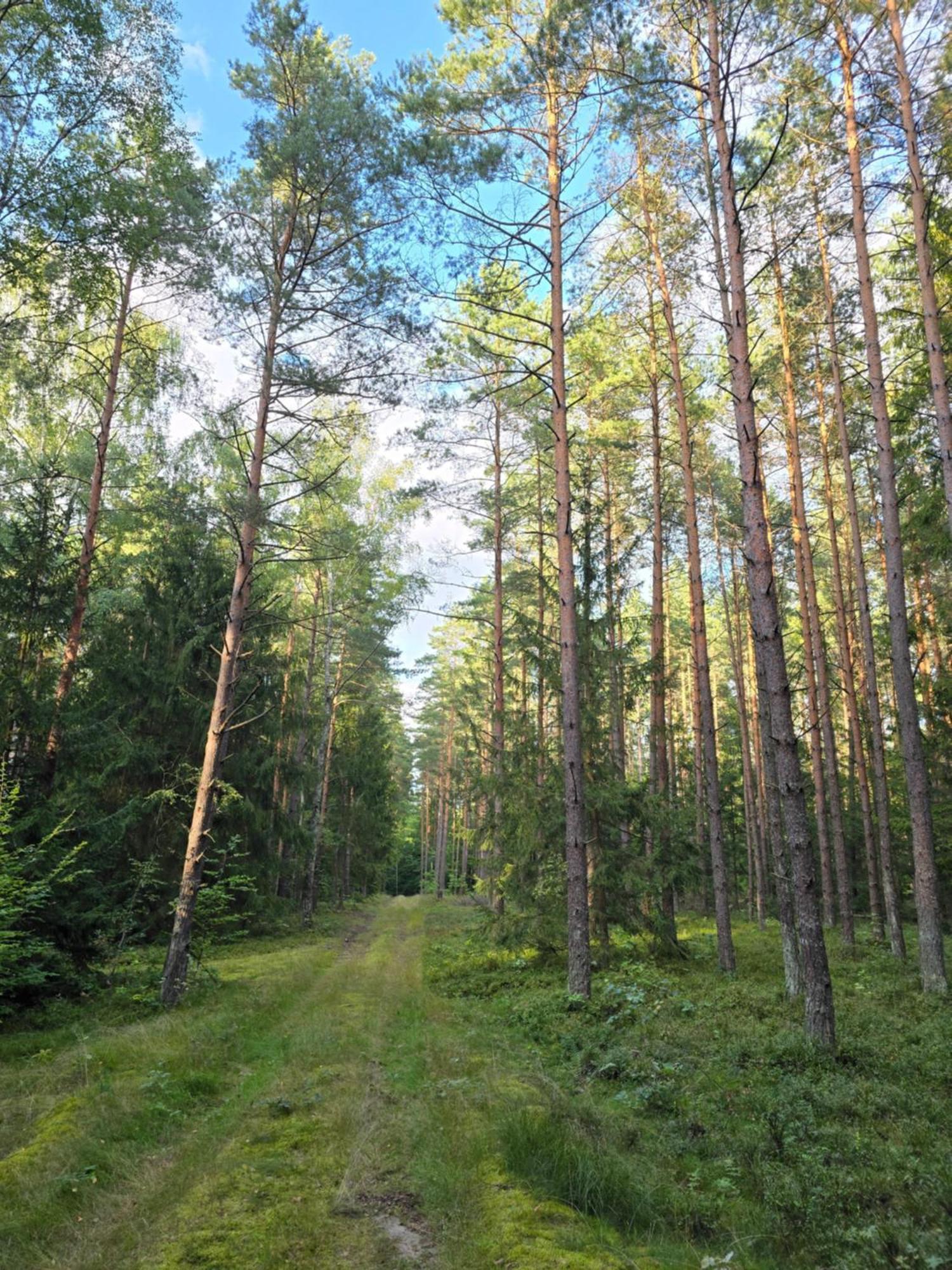 Bosko Siemiany - Bania, Jacuzzi, Kino Plenerowe, Ognisko, Rowery, Sup Villa Kültér fotó
