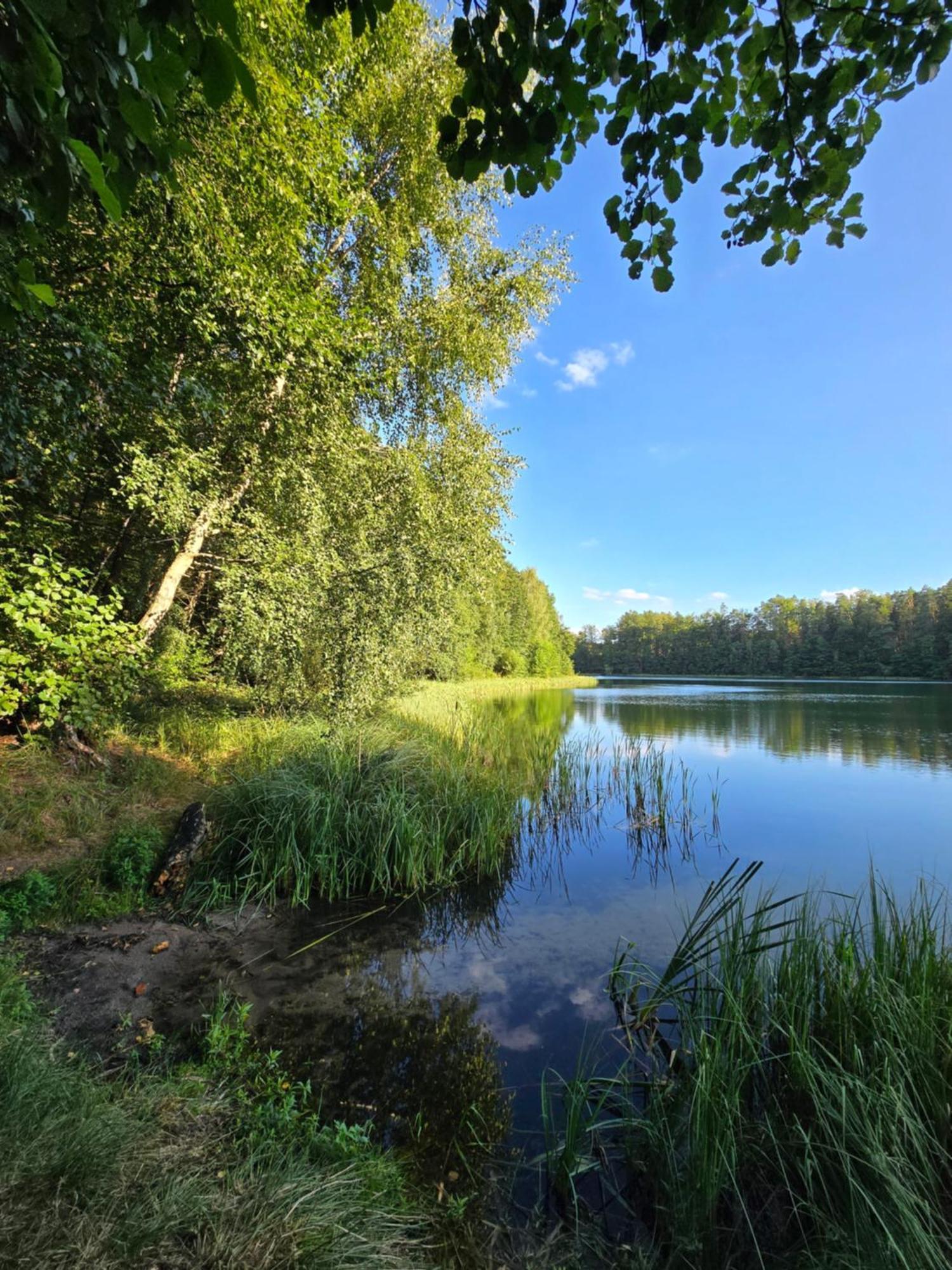 Bosko Siemiany - Bania, Jacuzzi, Kino Plenerowe, Ognisko, Rowery, Sup Villa Kültér fotó